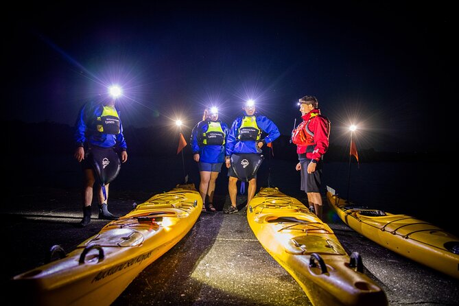 Sunset kayak tour to Rangitoto Island - Night paddle back: the part you’ll remember