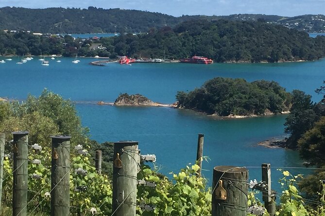 The Boutique Experience: Waiheke Best Cellar Tour (11 guests max) - Key things that make this tour worth your time