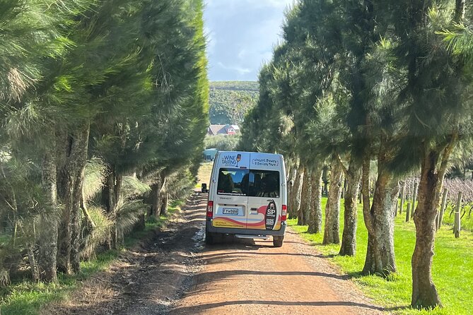 The Boutique Experience: Waiheke Best Cellar Tour (11 guests max) - The 5.5-hour pacing: how you get more than one “quick taste”
