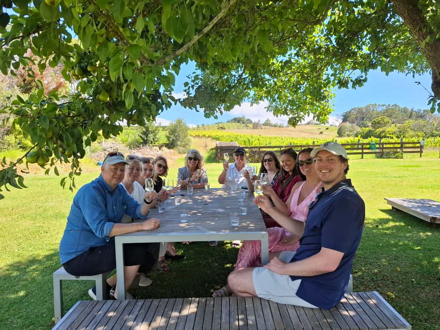 The Boutique Experience: Waiheke Island Best Cellar Tour - First Move: How the Ferry Timing Shapes Your Whole Day