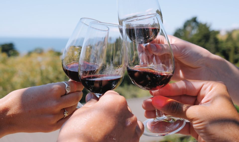 The Boutique Experience: Waiheke Island Best Cellar Tour - What You Should Bring, and What to Leave Behind
