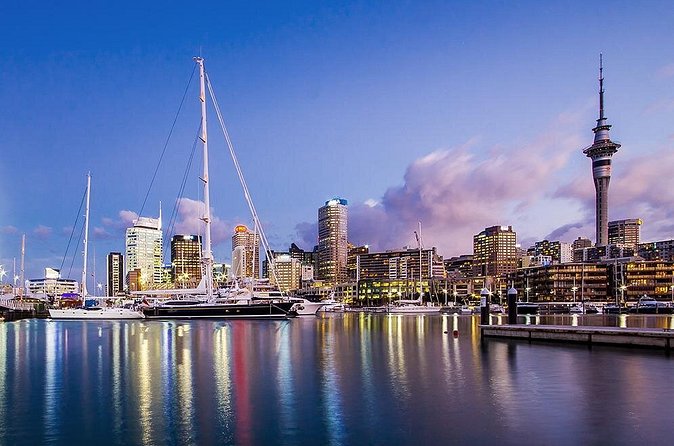 The City Lights: a unique electric bike tour of Auckland by night! - Grafton Gully on the way back: Historic bridge views and port glow