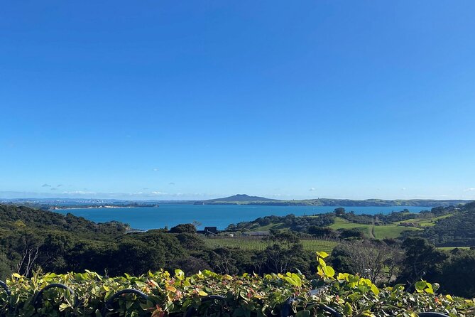 The Essence of Waiheke Wine Tour - How the island drive works in an air-conditioned minivan