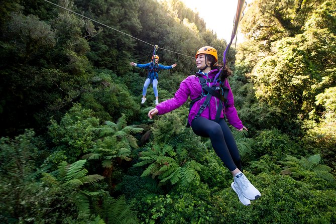 The Ultimate Canopy Zipline Experience Private Tour From Auckland - Key points before you go