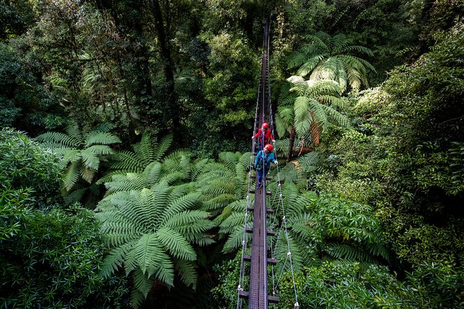 The Ultimate Canopy Zipline Experience Private Tour From Auckland - The adrenaline mix: ziplines plus cliff walk and abseil