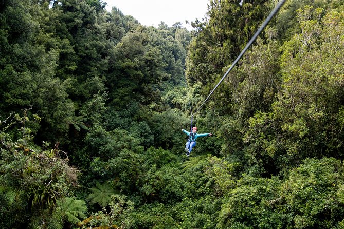 The Ultimate Canopy Zipline Experience Private Tour From Auckland - Who this tour suits best (and who should think twice)