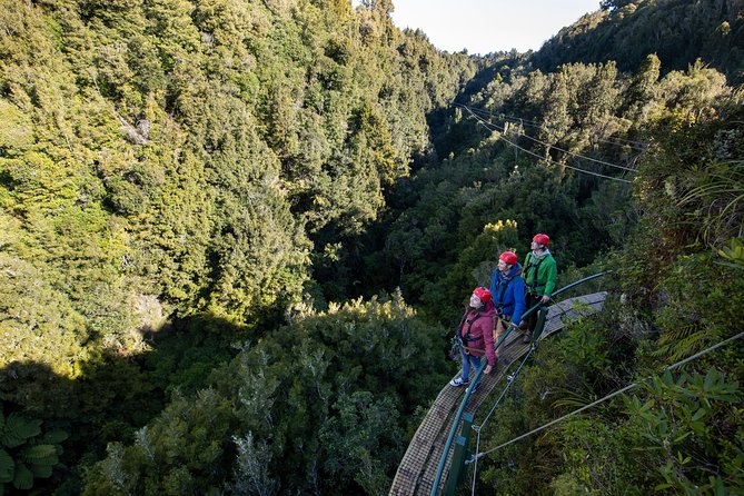 The Ultimate Canopy Zipline Experience Private Tour From Auckland - The road trip stops: Bombay Hills views, Tirau oddities, and a coffee break