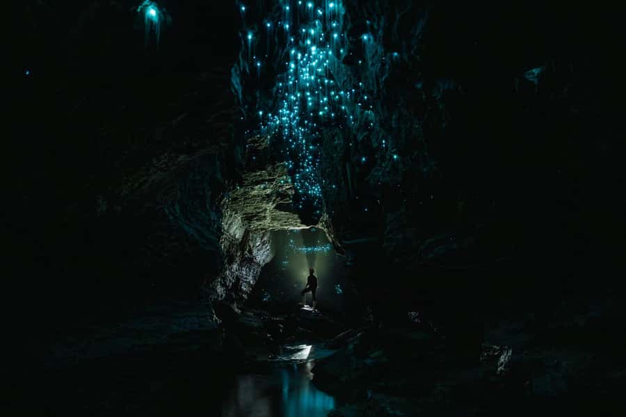 The Waitomo Experience : Okohua Glowworm Cave Tour - Tube floating and black water rafting through the underground river