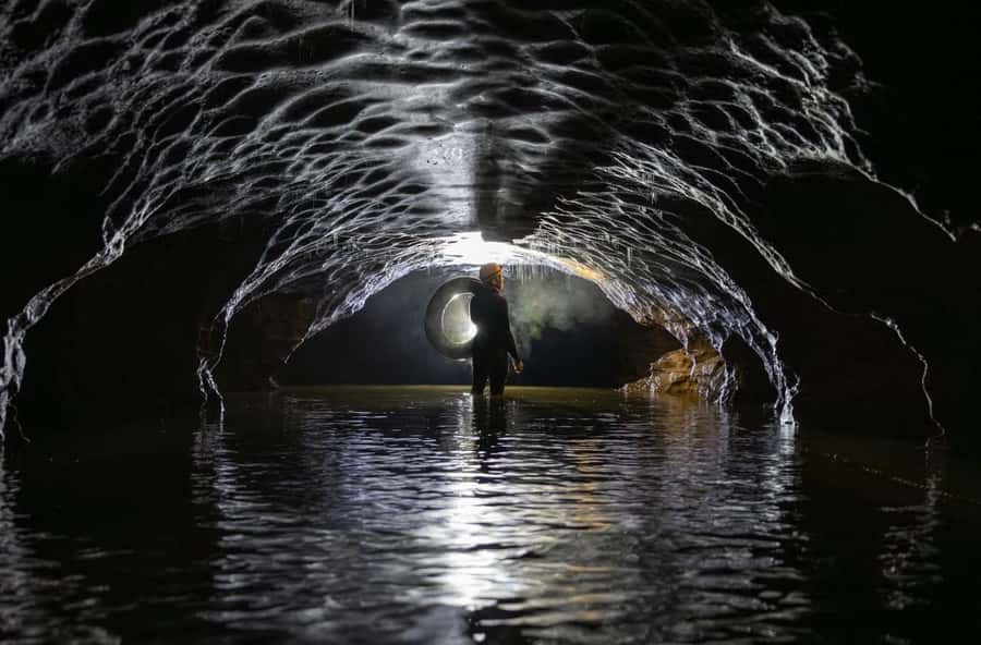 The Waitomo Experience : Okohua Glowworm Cave Tour - Finishing on native bush and a cedar hot tub reset