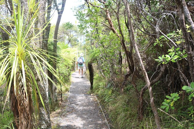 Tiritiri Matangi Island Discovery - from Auckland - Key things to know before you go
