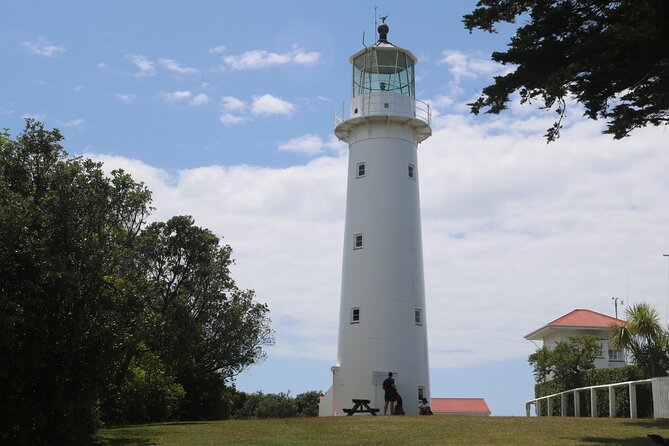 Tiritiri Matangi Island Discovery - from Auckland - What weather can do to your comfort level