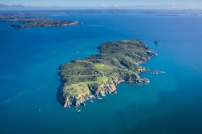 Tiritiri Matangi Island Discovery - from Auckland - Getting there: Auckland Viaduct vs Gulf Harbour (and how it changes your day)