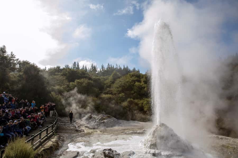 TRIPLE DEAL Wai-O-Tapu, Redwood & Blue Springs from Auckland - Key things that make this tour worth your time