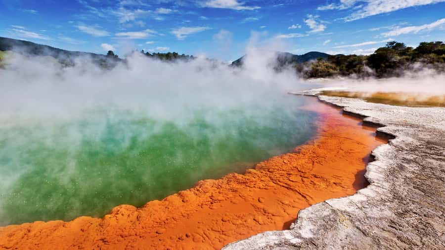 TRIPLE DEAL Wai-O-Tapu, Redwood & Blue Springs from Auckland - Wai-O-Tapu Mud Pool: where hot earth looks alive