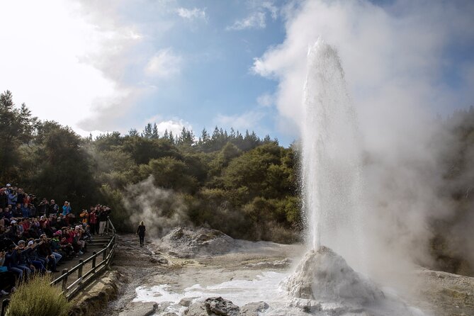TRIPLE DEAL Wai-O-Tapu, Redwood Forest & Blue Springs Ex Auckland - Tirau’s Dog and Sheep buildings: the fun, weird punctuation mark