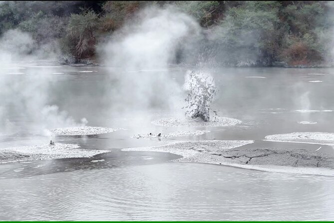 TRIPLE DEAL Wai-O-Tapu, Redwood Forest & Blue Springs Ex Auckland - Food, bathrooms, and why the long drive matters