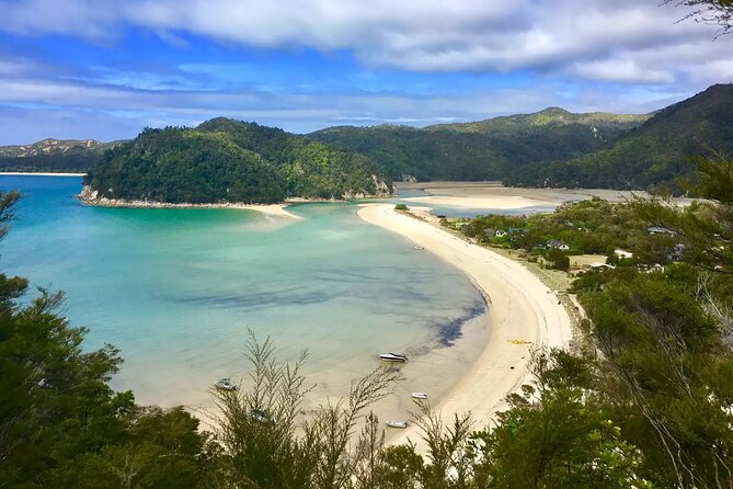 Twilight Wild Kiwi Bird Encounter Private Tour - What a Kiwi night walk feels like in real time