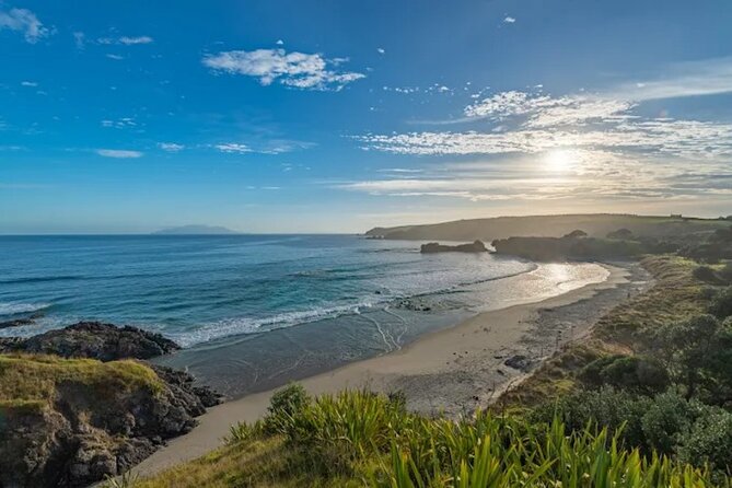 Twilight Wild Kiwi Bird Encounter Private Tour - The guide factor: what you gain from strong local experts