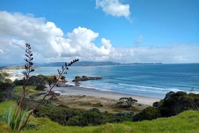 Twilight Wild Kiwi Bird Encounter Private Tour - Transportation and comfort: private van, smooth pacing