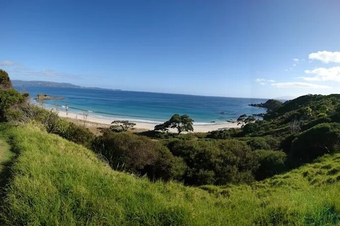 Twilight Wild Kiwi Bird Encounter Private Tour - How many Kiwi sightings should you expect?