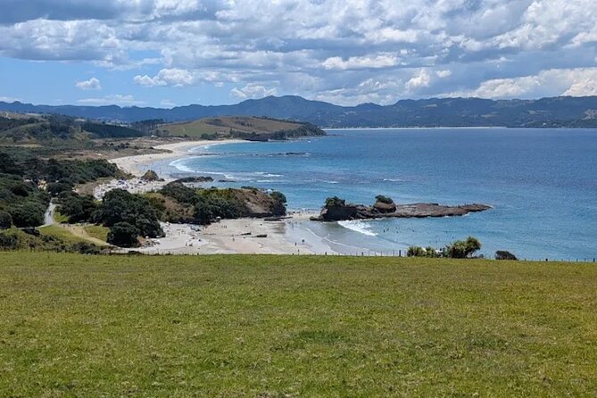 Twilight Wild Kiwi Bird Encounter Private Tour - Price and value: what NZD-like money buys here