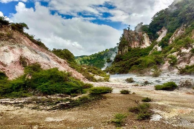 Volcanic Rotorua Day Trip from Auckland - Why this Rotorua day trip works (and feels different)