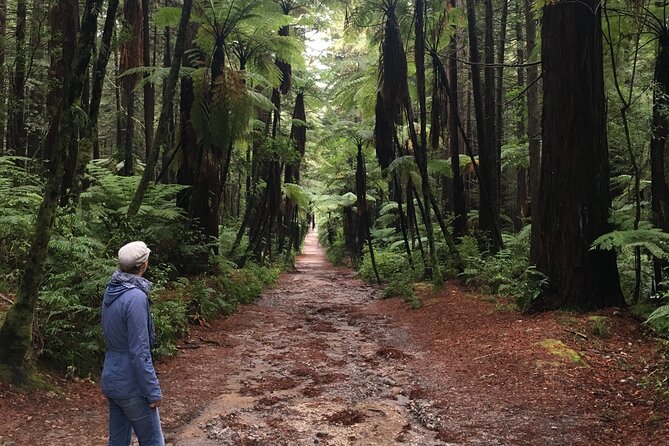 Volcanic Rotorua Day Trip from Auckland - Lake Rotorua and the Government Gardens: quick views with a big payoff
