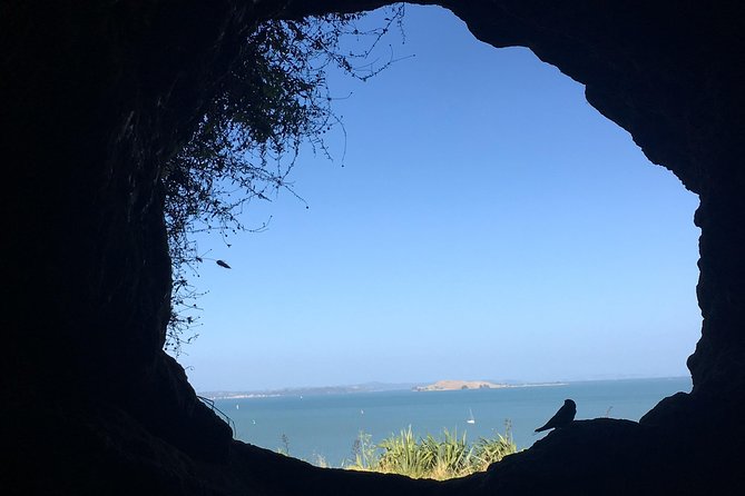 Volcanoes, Coasts, and Secret Spots Afternoon Tour in Auckland - Price and Value: What You’re Paying For