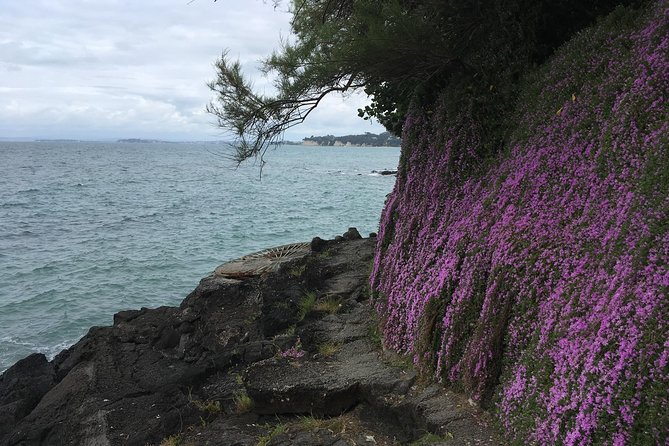 Volcanoes, Coasts, and Secret Spots Afternoon Tour in Auckland - Stop 2: Takapuna to Milford Coastal Walk (Black Rocks and Tree Moulds)