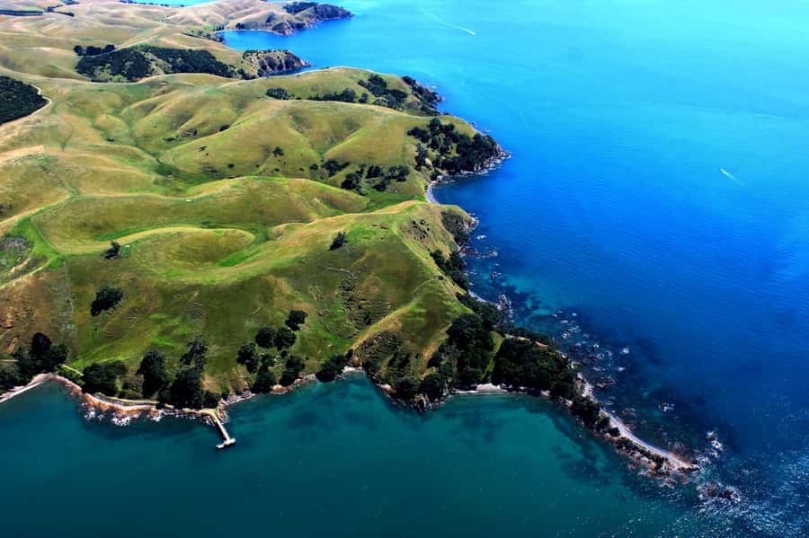 Waiheke Island: 30-Minute Scenic Flight - What’s behind the view: beaches, wineries, and the island’s volcanic character