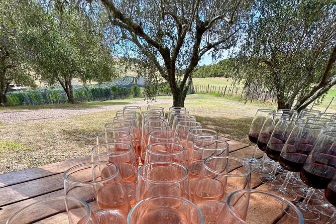 Waiheke Island: Afternoon Wine Affair with Ocean Front Lunch - Mudbrick Vineyard in Oneroa: Rangitoto and Auckland in the same frame