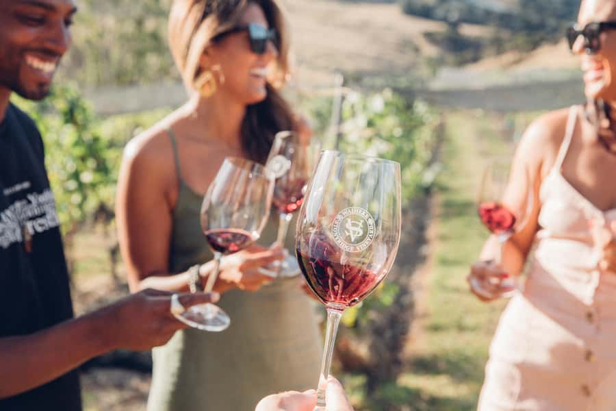 Waiheke Island: Afternoon Wine Tour with Oceanfront Lunch - Key things you’ll like about this Waiheke afternoon wine tour
