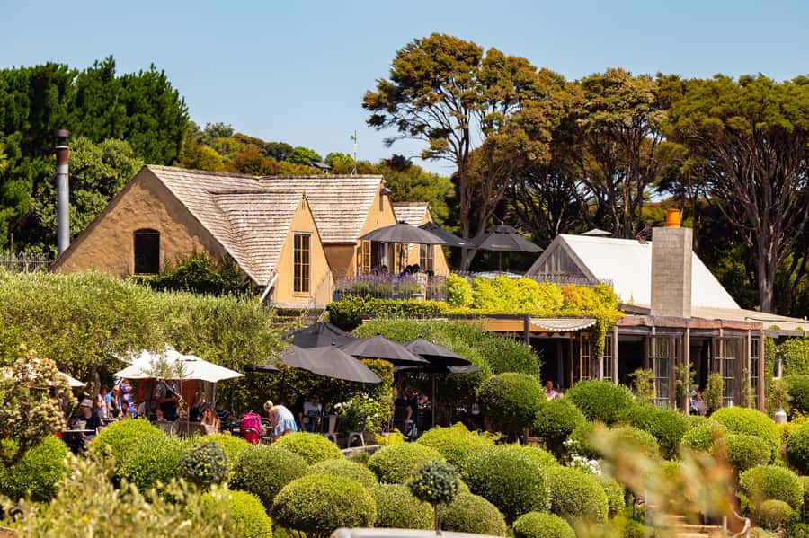 Waiheke Island: Afternoon Wine Tour with Oceanfront Lunch - Price and value: what $179 buys you on Waiheke