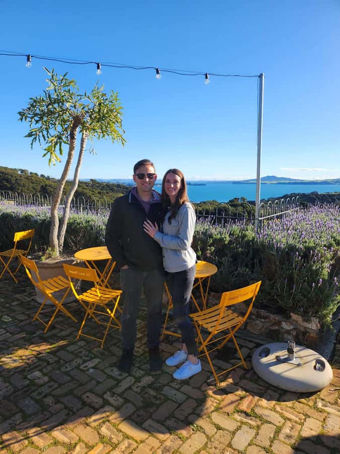 Waiheke Island: Afternoon Wine Tour with Oceanfront Lunch - Who should book this tour (and who might not love it)