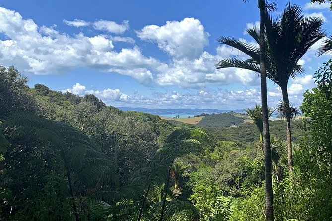 Waiheke Island Bush & Beach Walk - Price and value: is $260.64 worth it?