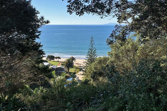 Waiheke Island Bush & Beach Walk - Service quality: the part you feel, not just read