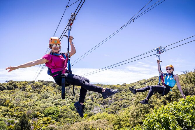 Waiheke Island Day Tour: Ziplining, Wine Tasting & Vineyard Lunch - Key highlights you should know before you go