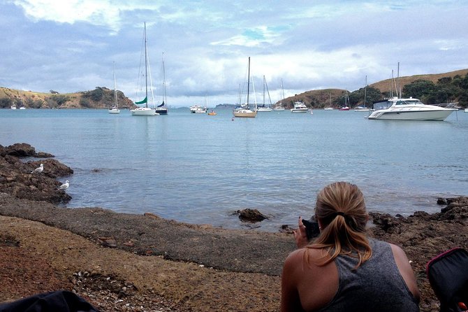Waiheke Island Double Headland Coastal Walk - Who Should Book This Walk on Waiheke?