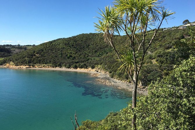 Waiheke Island Double Headland Coastal Walk - What to Pack for 5 Hours of Waiheke Weather
