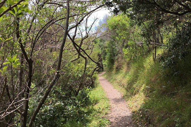 Waiheke Island Double Headland Coastal Walk - The Coastal Hike: Matiatia to Church Bay at Your Pace