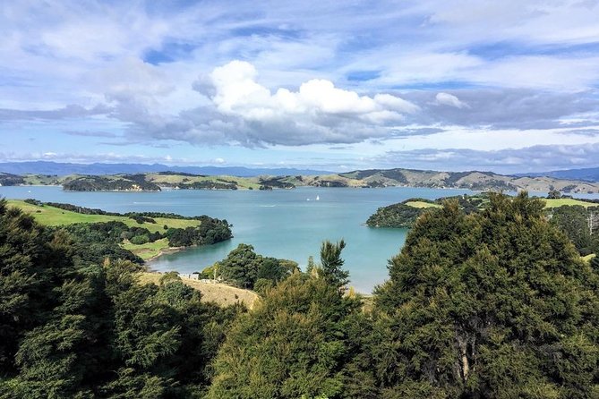 Waiheke Island Experience Tour - Price and value: what the $340.05 really buys