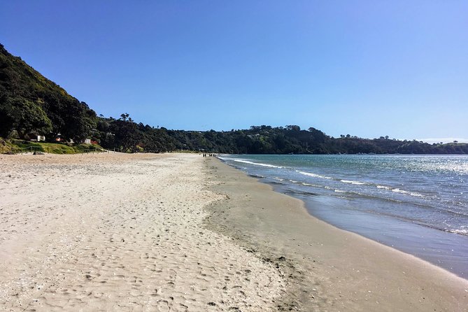 Waiheke Island Experience Tour - Guides make the difference: Onny and Steve’s flexibility style