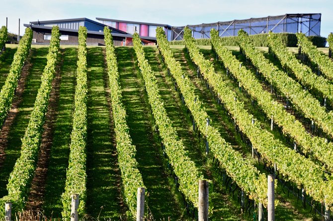 Waiheke Island - Fly and Dine (from North Shore Airport) - Transfers and the ferry back: how the open ticket changes your day