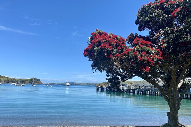 Waiheke Island Gourmet Food and Wine Tour - Price and value: what $212.86 buys on a wine-and-food route
