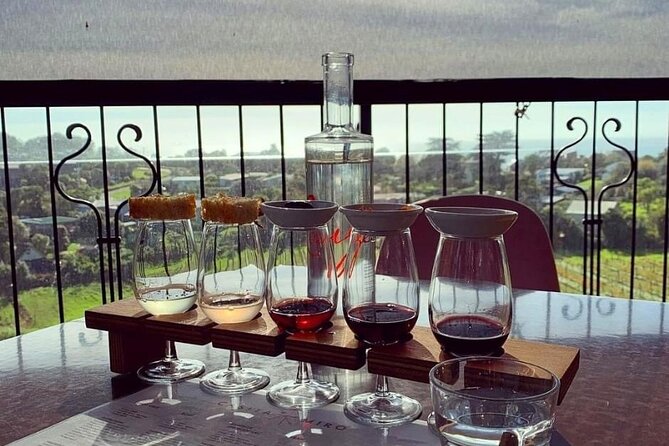 Waiheke Island Gourmet Food and Wine Tour - Stop 2: Allpress Olive Groves—tasting Koreneiki, Picual, and Frantoio