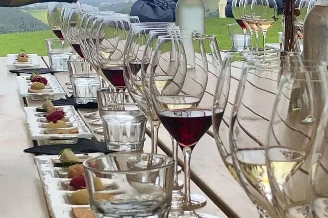 Waiheke Island Gourmet Food and Wine Tour - Guides make or break it: what to look for in your group day