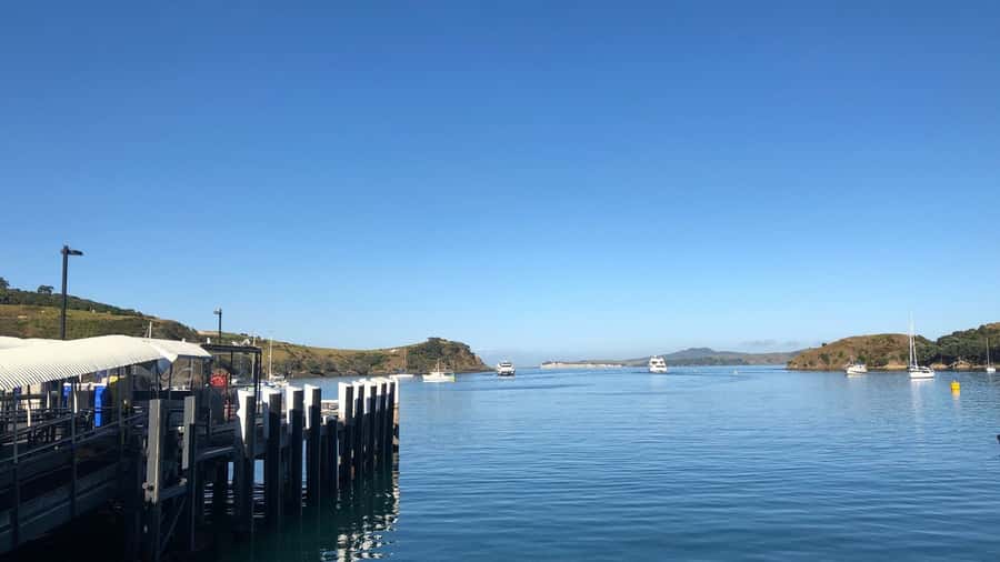 Waiheke Island Gourmet Food and Wine Tour with Lunch - Key things to know before you go