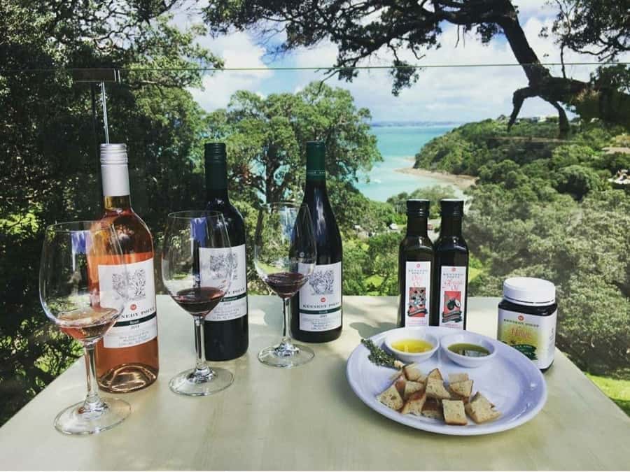 Waiheke Island Gourmet Food and Wine Tour with Lunch - Vineyard Stop 1 and Rangihoua Estate: wine + small bites with local stories