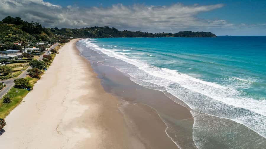 Waiheke Island Gourmet Food and Wine Tour with Lunch - Should you book? My take on the decision