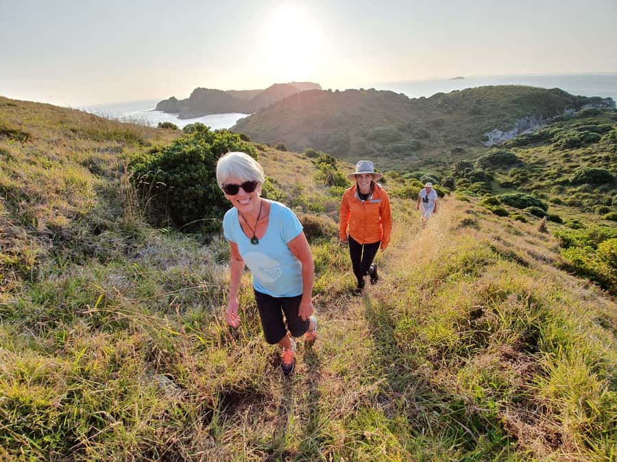 Waiheke Island: Gulf Marine Park Sailing Adventure & Lunch - Key points before you go